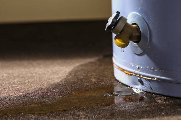 Best Carpet water damage restoration  in Anahuac, TX