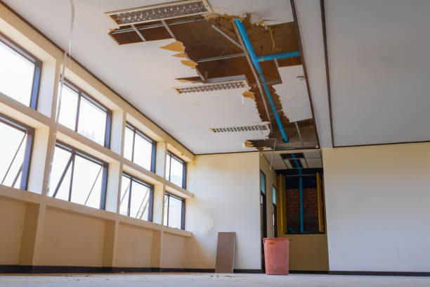 Best Mold removal after water damage  in Anahuac, TX