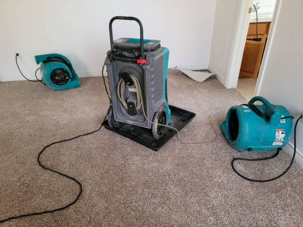 Best 24/7 water damage repair  in Anahuac, TX