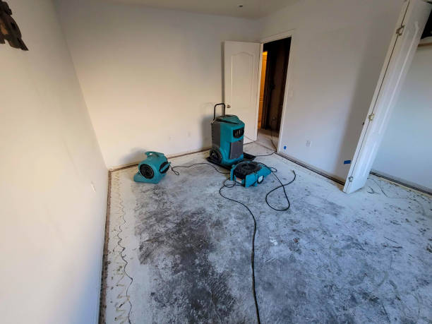 Best Mold removal after water damage  in Anahuac, TX